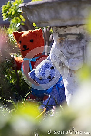 Teddy bears hiding behind plants in a garden Stock Photo