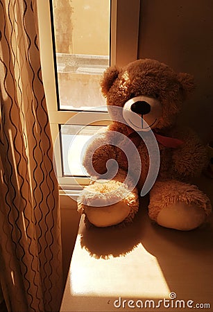 Teddy near curtain sunlight indoor Stock Photo