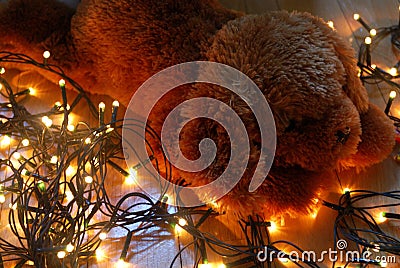 Teddy puppy lying on fairy lights with warm colours. Stock Photo