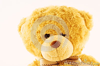 Teddybear Stock Photo