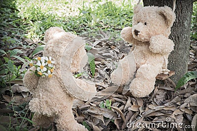 Teddybears with flowers in the park Stock Photo