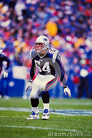 Tedy Bruschi New England Patriots Editorial Stock Photo