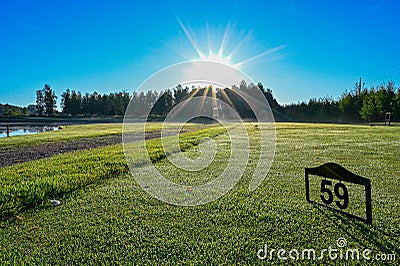 Tee at golfcourse early morning in Sweden Stock Photo