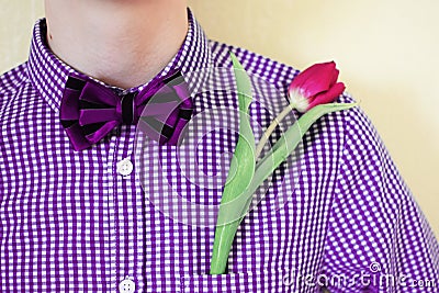 One pink tulip in violet purple shirt pocket with bow-tie Stock Photo