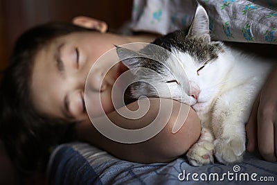 Teen boy sleep with cat in bed hug Stock Photo