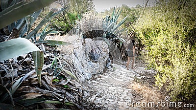 Teen hiking down trail in Athens Stock Photo