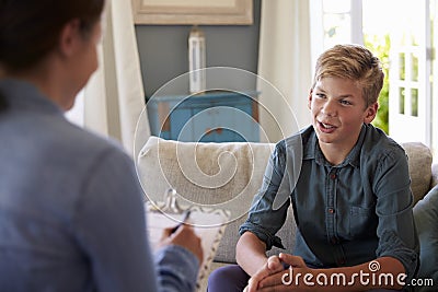 Teenage Boy With Problem Talking With Counselor At Home Stock Photo