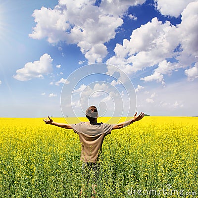 Teenage Boy in Yellow Field Stock Photo