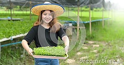 A teenage girl farmer shows a tray of vegetable seedlings in a greenhouse Stock Photo