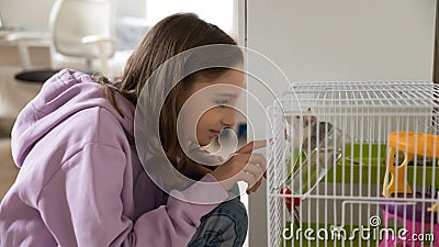 Teenage girl play with cute domesticated mouse at home Stock Photo