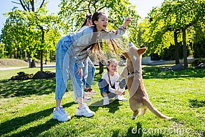 Teenage girl teasing her little dog while playing with it Stock Photo