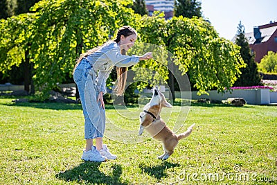 Teenage girl teasing her little dog while playing with it Stock Photo