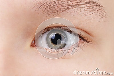 Teenage girls green eye Stock Photo