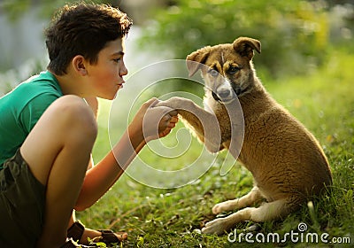 Teenager boy hug puppy shepherd dog close up photo Stock Photo