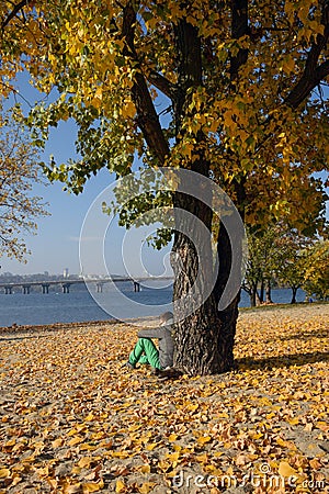 A teenager boy of a white race sits on yellow leaves under a tree against the background of a river and a bridge Stock Photo