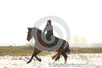 Teenager girl riding bay horse in winter Stock Photo