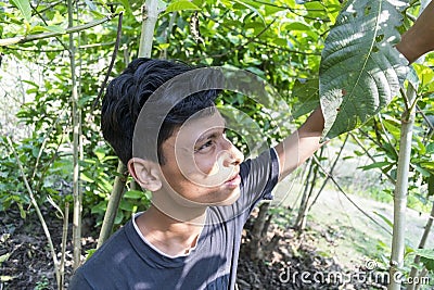 A teenager guy looking up to the sun in a forest through leaves of the plants and sunlight falling on his face Stock Photo