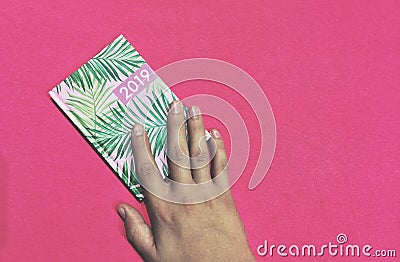 Teenager hand on 2019 agenda Stock Photo