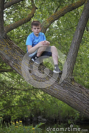 A teenager poses for a photographer while walking in the park. Climbed a tree and sits. Stock Photo