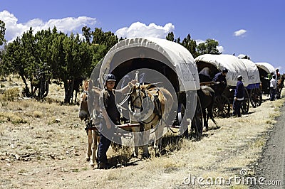 Teenagers traveling on covered wagons Editorial Stock Photo