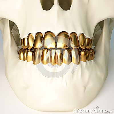 Teeth Stock Photo