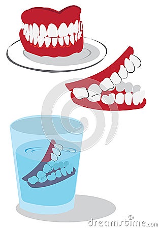 Teeth Vector Illustration