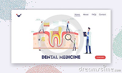 Teeth Anatomy and Structure Landing Page Template. Tiny Dentists Characters at Huge Tooth Infographics with Gum, Bone Vector Illustration