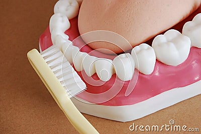 Teeth and brush Stock Photo