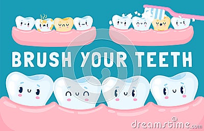 Teeth in the gum. Cartoon cute happy teeth characters for children dental poster, happy clean white tooth with friends Vector Illustration