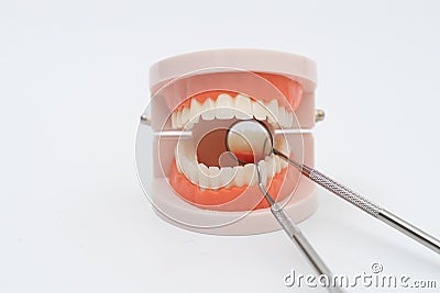 Teeth model and dentist tool on white Stock Photo