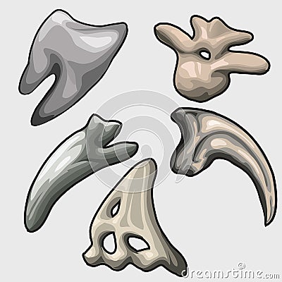 Teeth and tusks of different ancient animals Vector Illustration
