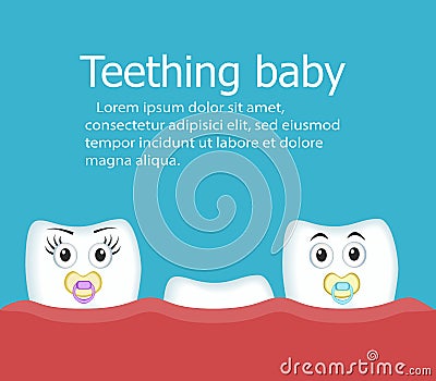 Teething baby banner with teeth Vector Illustration