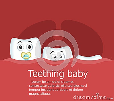 Teething baby banner with teeth Vector Illustration