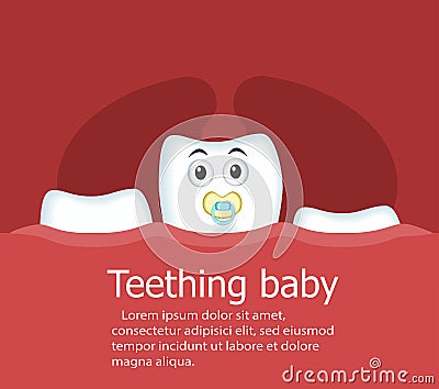 Teething baby banner with tooth Vector Illustration