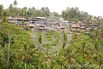 The terraced rice fields and the village. Tegallalang. Gianyar regency. Bali. Indonesia Editorial Stock Photo