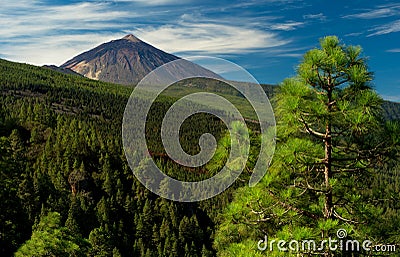 Teide Stock Photo