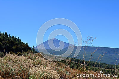 Teide National Park. Tenerife, Canary Islands, Spain Stock Photo