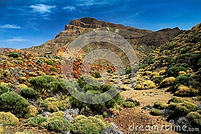 Teide Volcano in Tenerife Stock Photo