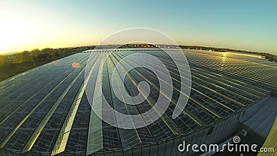 tejado de 4k Timelapse del invernadero industrial tejado de 4k Timelapse del invernadero industrial