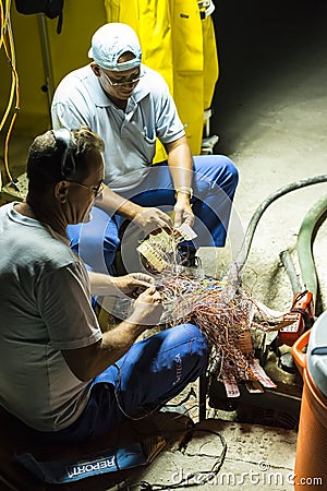 Telecom workers repairing cable Havana Editorial Stock Photo