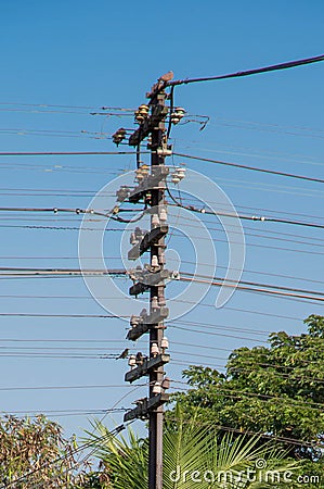 A telegraph pole, railway Stock Photo