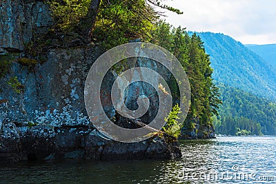 Teletskoye lake in Altai mountains Stock Photo