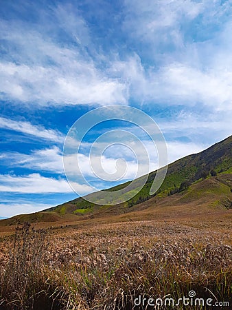 Teletubbies hill in Savana, Bromo Stock Photo