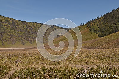 Teletubies Hill is a part of the Mount Bromo area in East Java. here is very suitable for prewedding or photo shots. Stock Photo