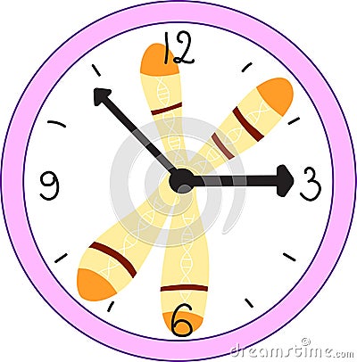 Telomere as a biological clock Vector Illustration