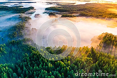 Temperature contrast concept. Sunny morning, aerial landscape. Thick fog covers green forest and lakes Stock Photo