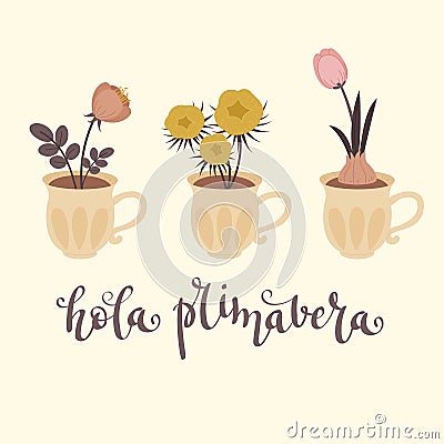 Spring lettering in Spanish `Hola Primavera`, in English, means `Hello Spring` Vector Illustration