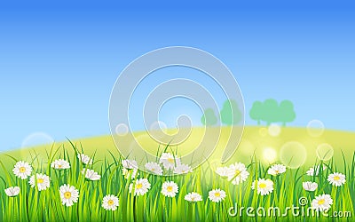 Template background Spring field of flowers of daisies and green juicy grass, meadow, blue sky, white clouds. Vector Vector Illustration