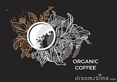 Template of branch of coffee tree, leaves, flowers and beans. Vector Vector Illustration