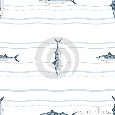 Mackerel. Commercial Fish species. Vector Illustration